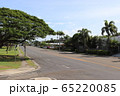 道 65220085
