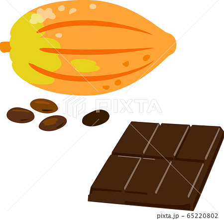 カカオの実とチョコレートバーのイラスト素材