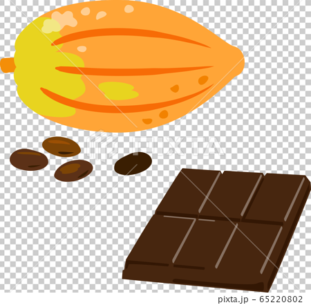 カカオの実とチョコレートバーのイラスト素材 65220802 Pixta