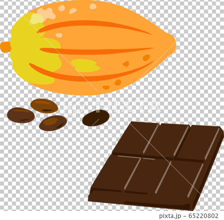 Cacao Fruit And Chocolate Bar Stock Illustration