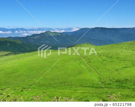 北アルプスを望む草原・霧ヶ峰 65221798