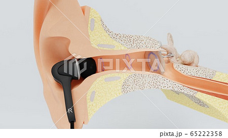3d render headphone in ear and ear canal. 3d illustration 3d render headphone in ear and ear canal. 3d illustration 65222358