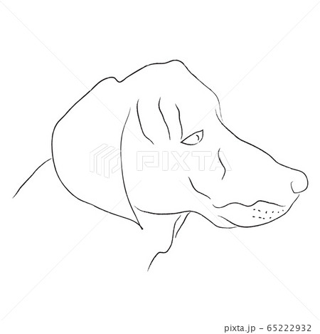 Black and white sketch of dog, vector illustration 65222932