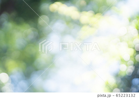 新緑　ぼかし　玉ボケ 65223132