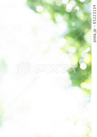 新緑 ぼかし 玉ボケ 新緑 ぼかし 玉ボケ 65223134