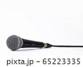 Close up of a professional mictophone isolated on 65223335