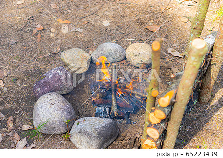 ブッシュクラフト素材　焚き火 65223439