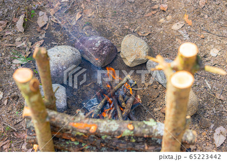 ブッシュクラフト素材　焚き火 65223442