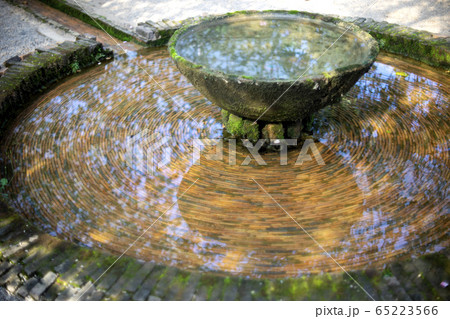 View of old Fountain basin with green algae View of old Fountain basin with green algae 65223566