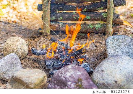ブッシュクラフト素材　焚き火 65223578
