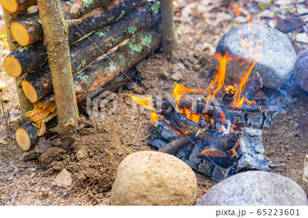ブッシュクラフト素材　焚き火 65223601