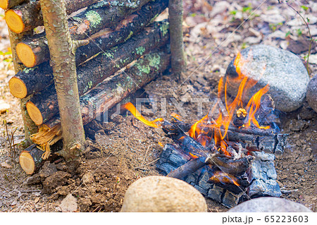 ブッシュクラフト素材　焚き火 65223603