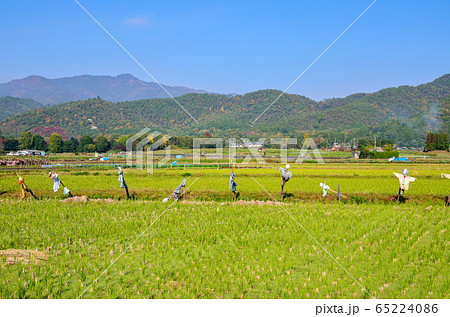 京都の北嵯峨の風景 京都の北嵯峨の風景 65224086