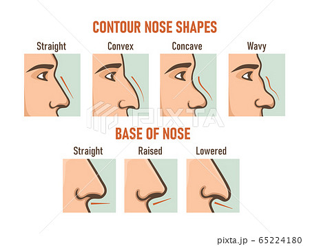 russian nose shape
