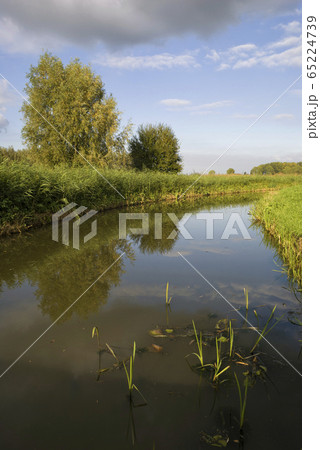 Canal near Dussen Canal near Dussen 65224739