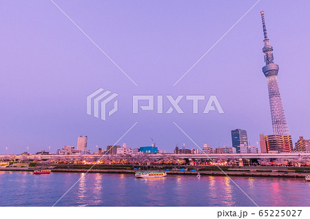 夕日に染まる桜咲く東京ウォーターフロント 夕景 夕日に染まる桜咲く東京ウォーターフロント 夕景 65225027