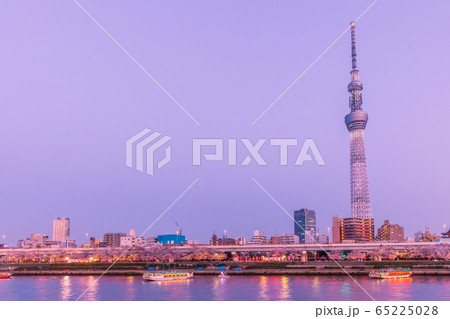 夕日に染まる桜咲く東京ウォーターフロント　夕景 65225028
