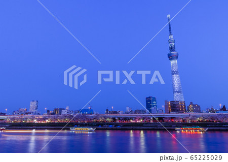 桜咲く東京ウォーターフロント　夕景 65225029
