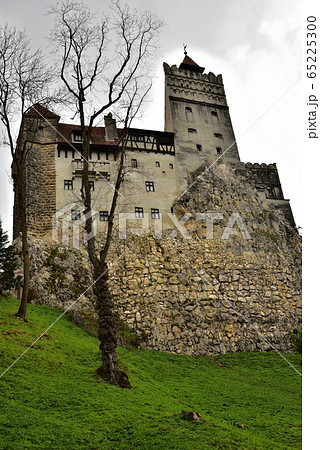 ブラン城5 ブラン城5 65225300