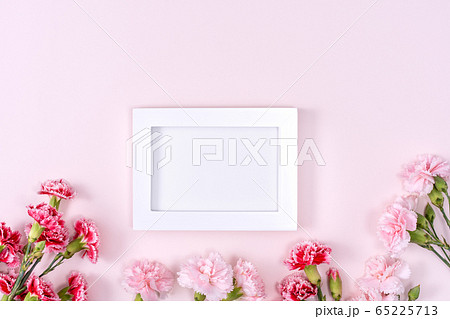 カーネーション ハマナデシコ 花 65225713