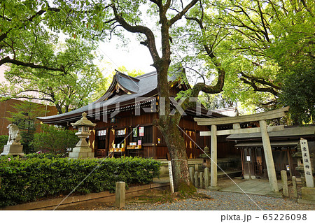 愛知県 名古屋市 若宮八幡社 愛知県 名古屋市 若宮八幡社 65226098