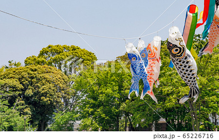 大空を泳ぐ鯉のぼり 大空を泳ぐ鯉のぼり 65226716