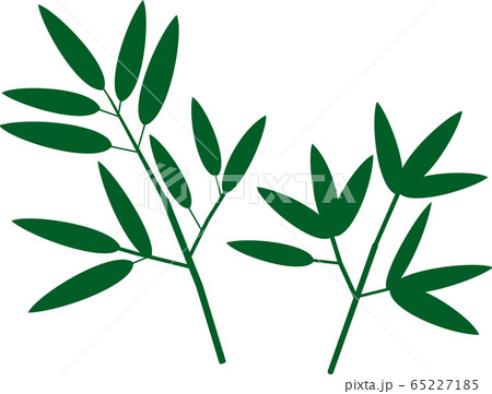 竹　笹　七夕 65227185