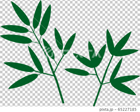 竹　笹　七夕 65227185