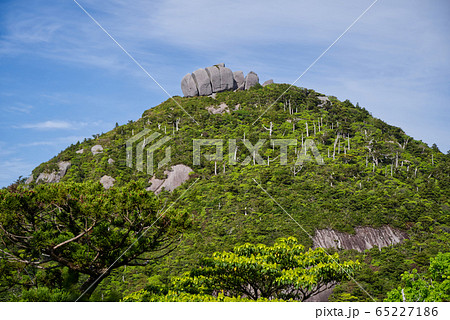 トーフ岩 65227186