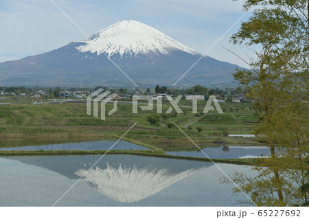 田植え時期の逆さ富士山 65227692