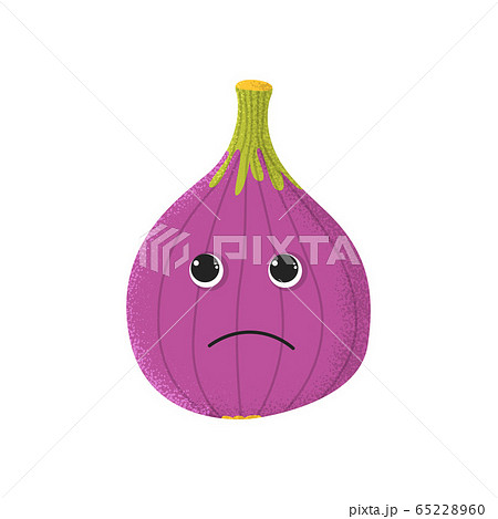 Organic cute fig fruit character 65228960