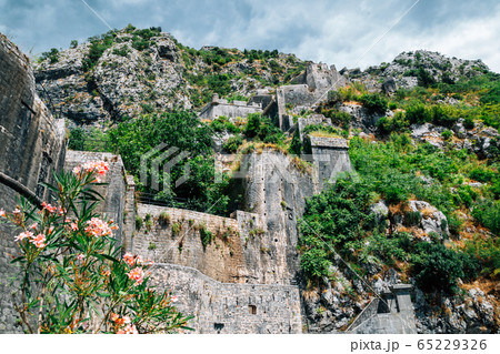 Kotor fortress with mountains in Montenegro 65229326