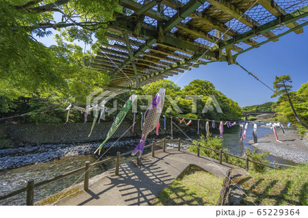 五竜の滝 こいのぼり 【静岡県】 五竜の滝 こいのぼり 【静岡県】 65229364