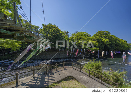 五竜の滝 こいのぼり 【静岡県】 五竜の滝 こいのぼり 【静岡県】 65229365