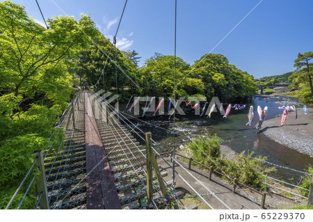 五竜の滝　こいのぼり　【静岡県】 65229370