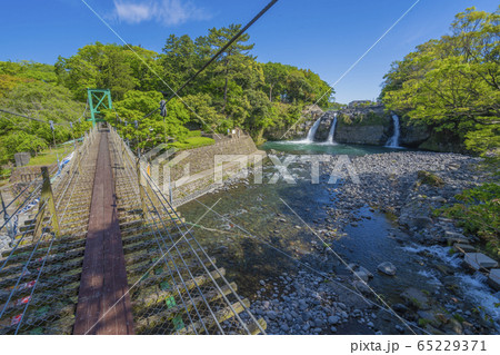 五竜の滝 こいのぼり 【静岡県】 五竜の滝 こいのぼり 【静岡県】 65229371