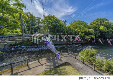 五竜の滝　こいのぼり　【静岡県】 65229376