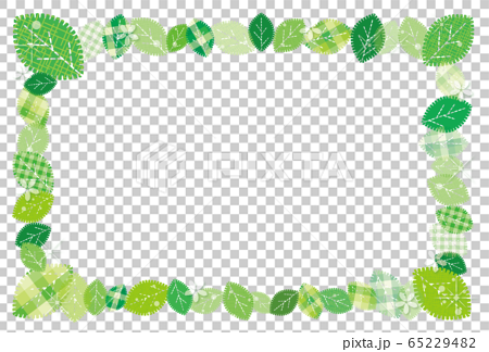 葉 新緑 生地風 フレーム 背景 ポストカードのイラスト素材
