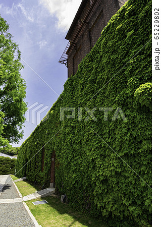 倉敷美観地区　アイビースクエア　岡山県倉敷市 65229802