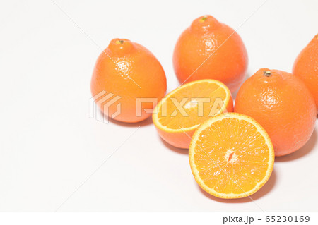 ミネオラオレンジ フルーツ ミネオラオレンジ フルーツ 65230169