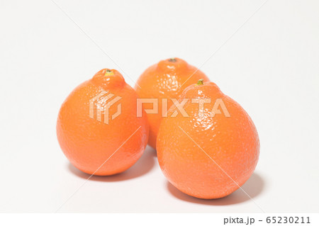 ミネオラオレンジ フルーツ ミネオラオレンジ フルーツ 65230211