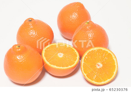 ミネオラオレンジ フルーツ ミネオラオレンジ フルーツ 65230376