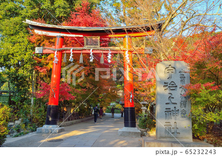 京都の宇治上神社 65232243