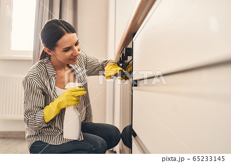 Kind woman wiping her new household appliances Kind woman wiping her new household appliances 65233145