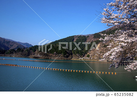 桜咲く奥多摩湖 桜咲く奥多摩湖 65235082
