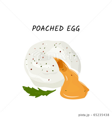 Poached egg vector meal illustration. Isolated on white background. 65235438