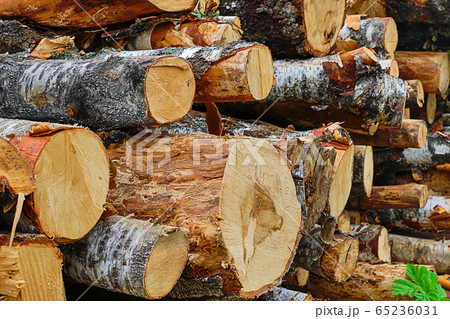 woodpile of long trunks end pattern traditional woodpile of long trunks end pattern traditional 65236031