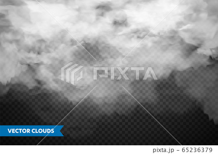 Realistic transparent clouds. Sky panorama. Vector illustration. 65236379