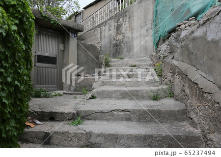 建築物 コンクリート 葉 65237494