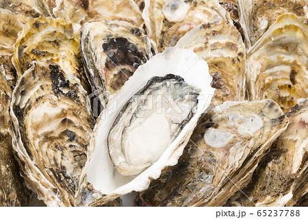 新鮮で美味しい生牡蠣 65237788